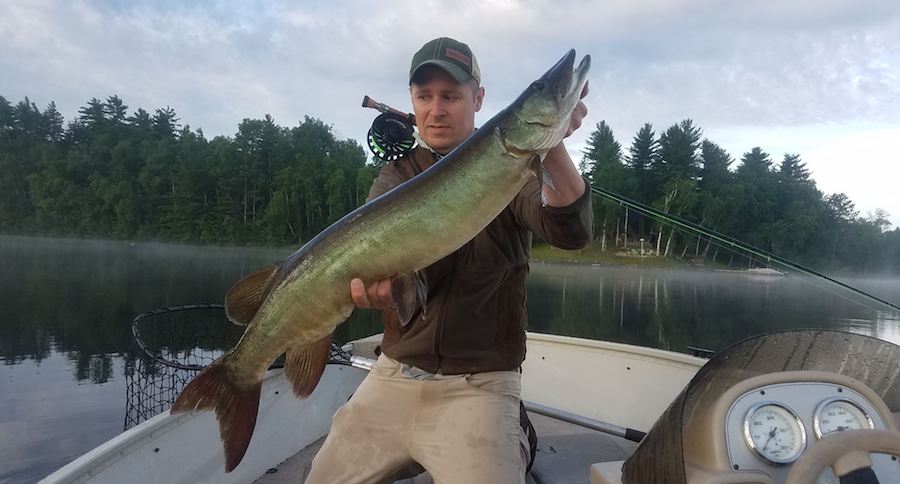 fly fishing muskies