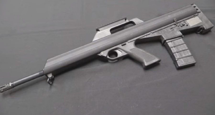bushmaster m17s