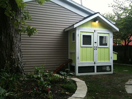 Small Chicken Coop Plans