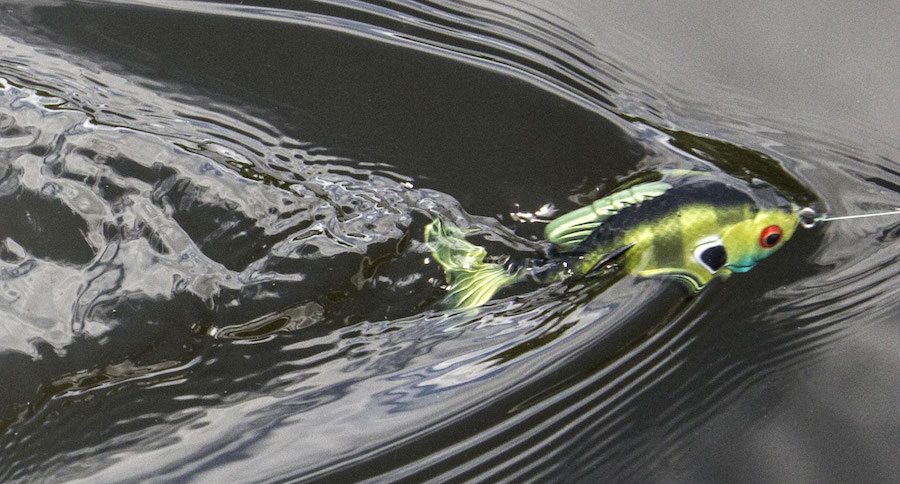 Lunkerhunt