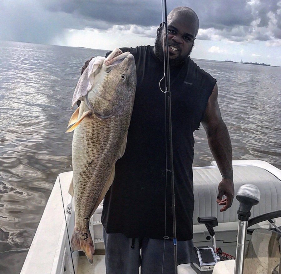 vince wilfork