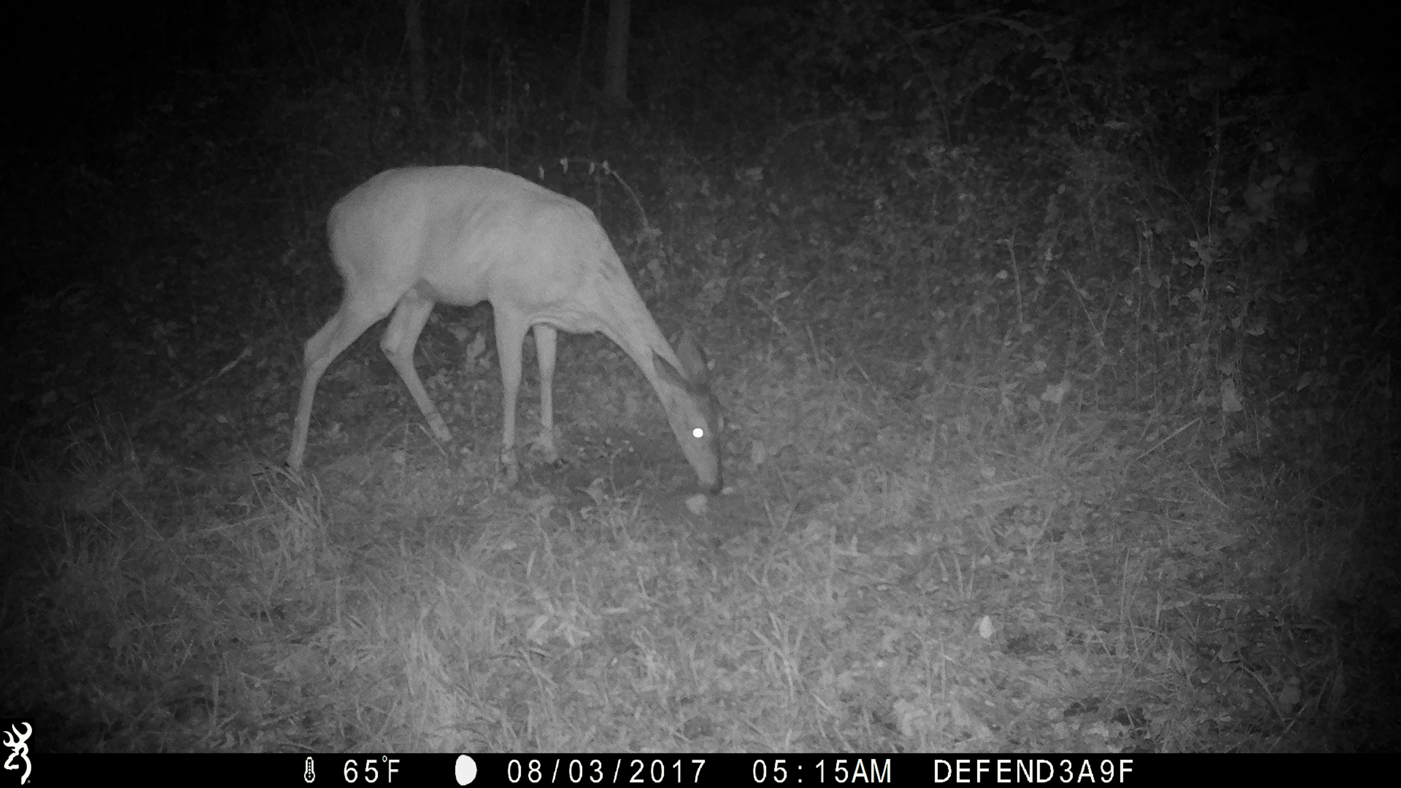 browning defender 850 trail cam
