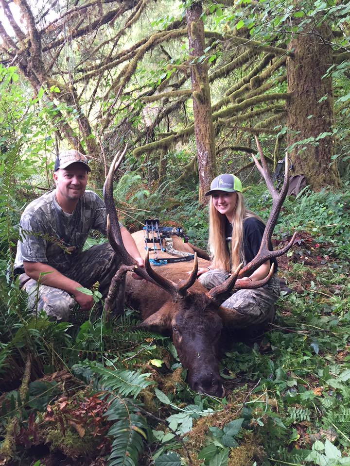 bull elk