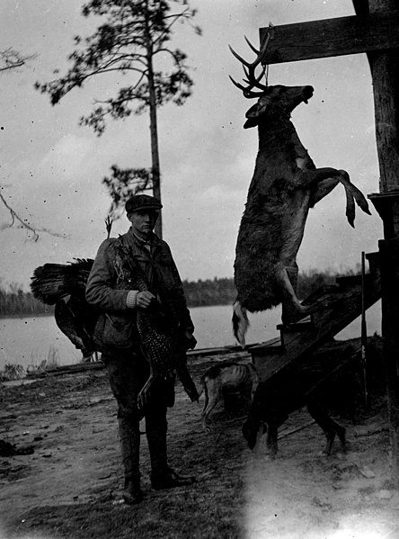 vintage deer hunting