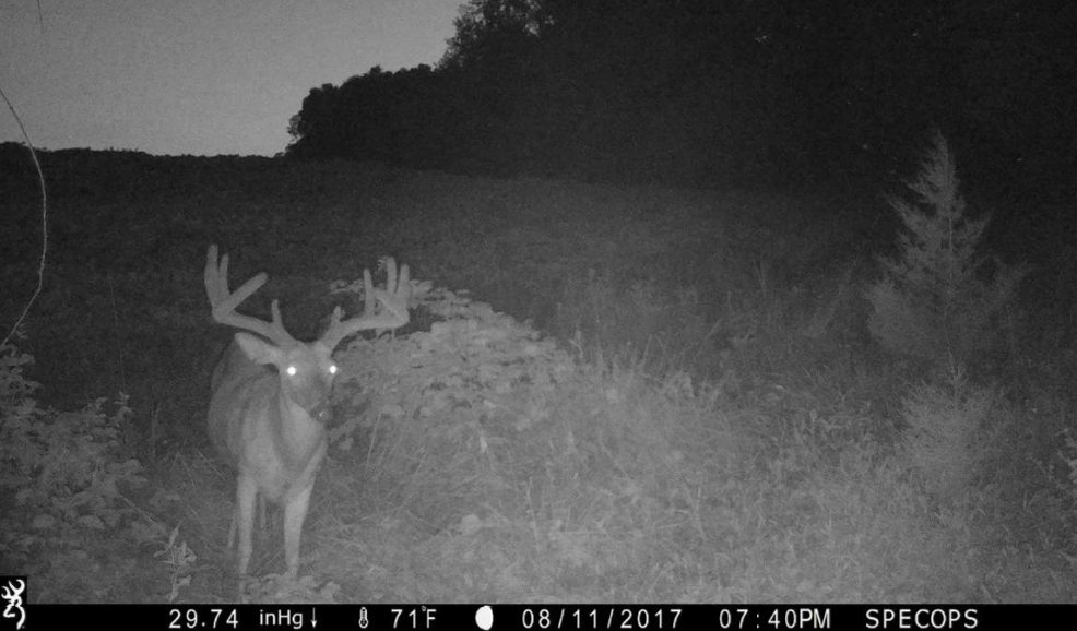 warner 11 trail camera photo