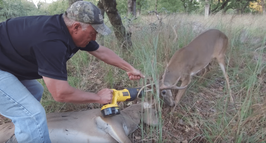 locked up bucks
