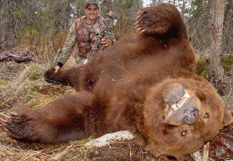 biggest alaska brown bear Jack Brittingham