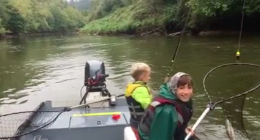 coho