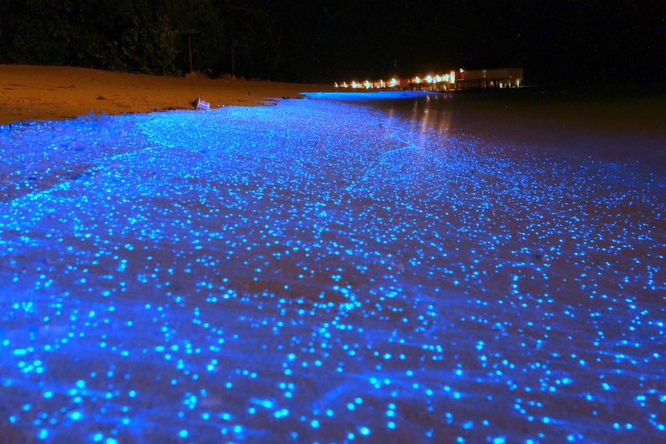 natural phenomena