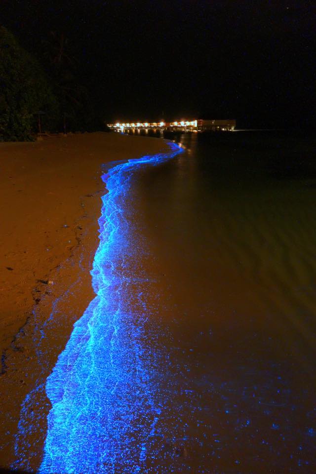 natural phenomena