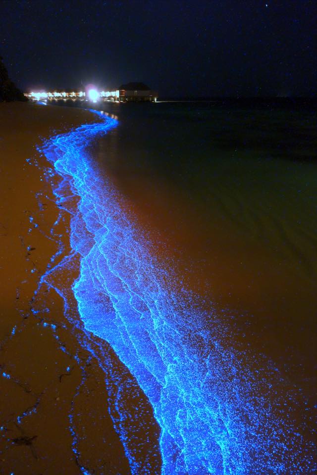 natural phenomena