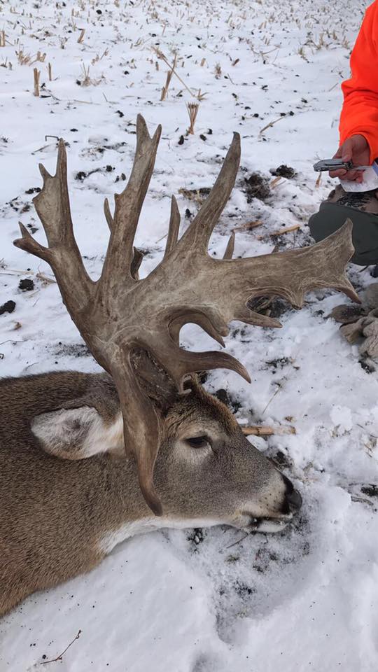 monster buck