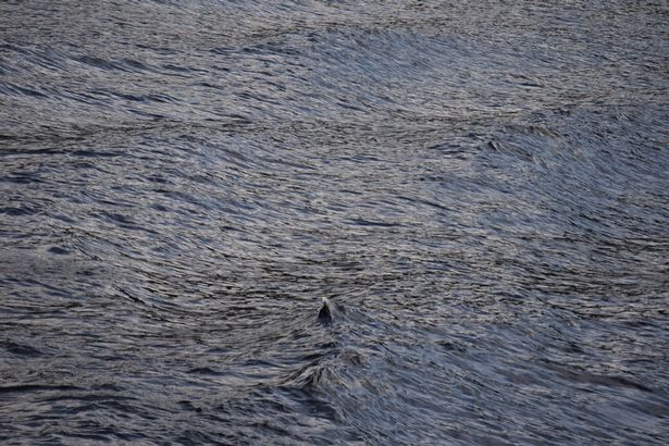 loch ness