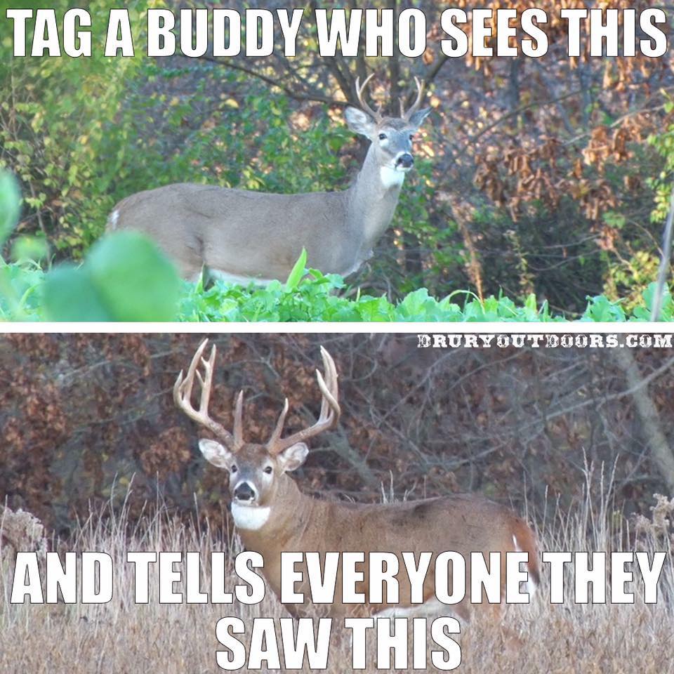 hunting meme