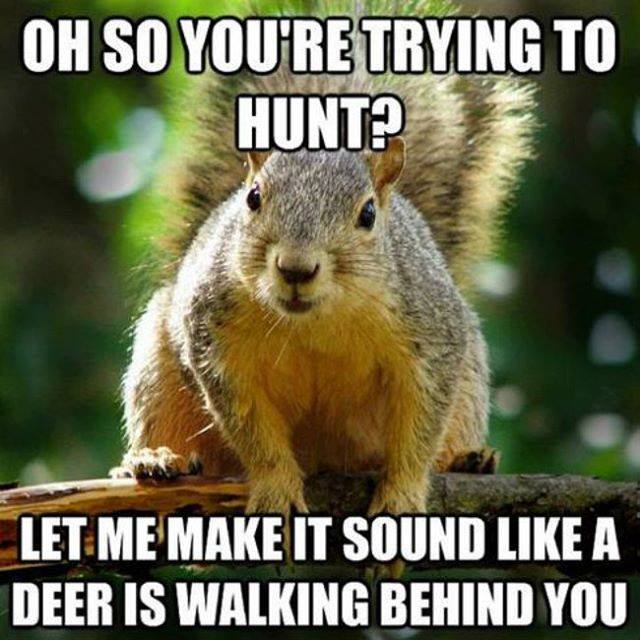 hunting memes