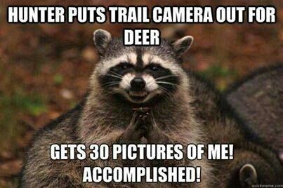 hunting memes