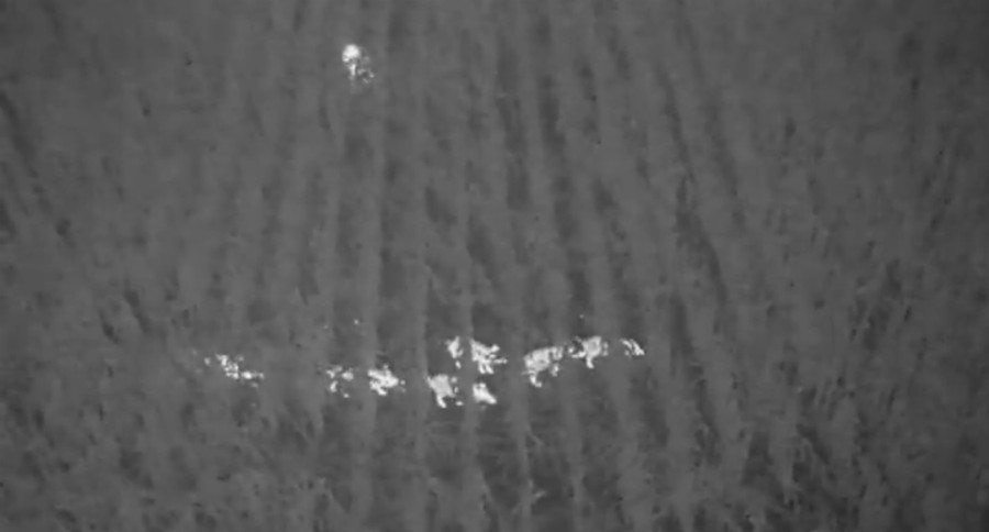 thermal drones