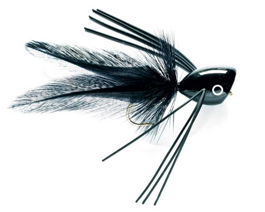 Black Bass Popper
