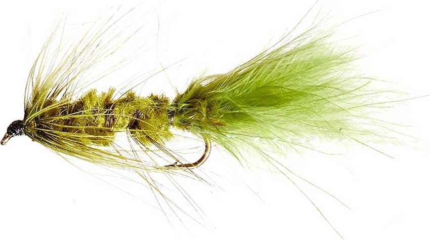 Woolly Bugger fishing fly