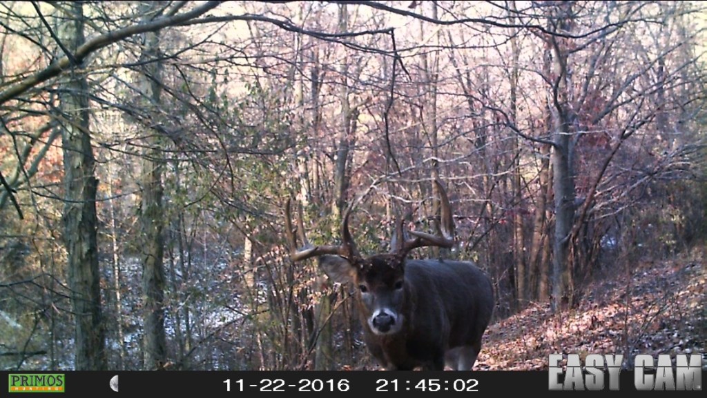 Trail Cam Tuesday