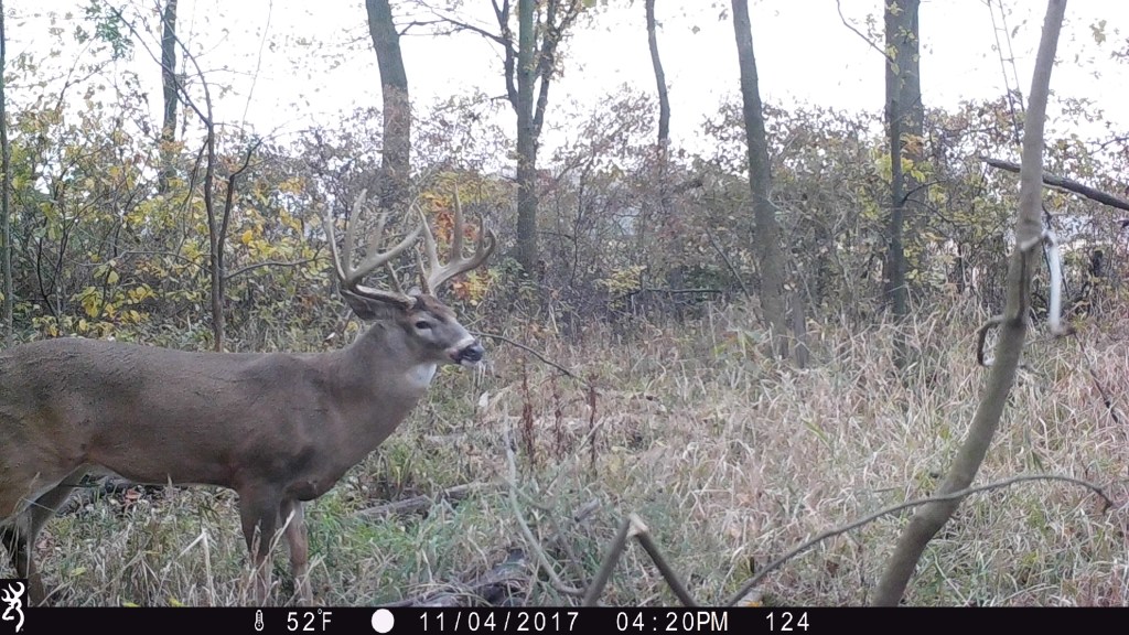 Trail Cam Tuesday
