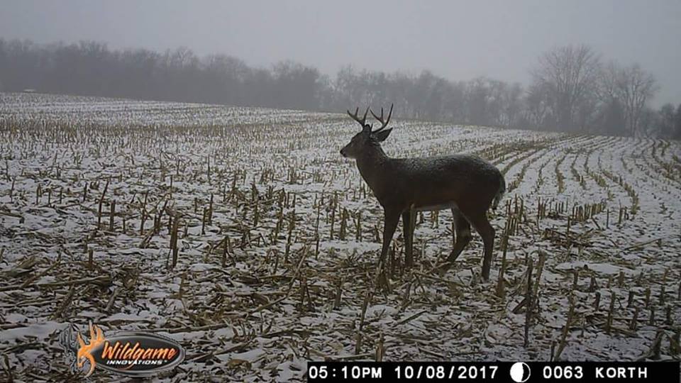 Trail Cam Tuesday