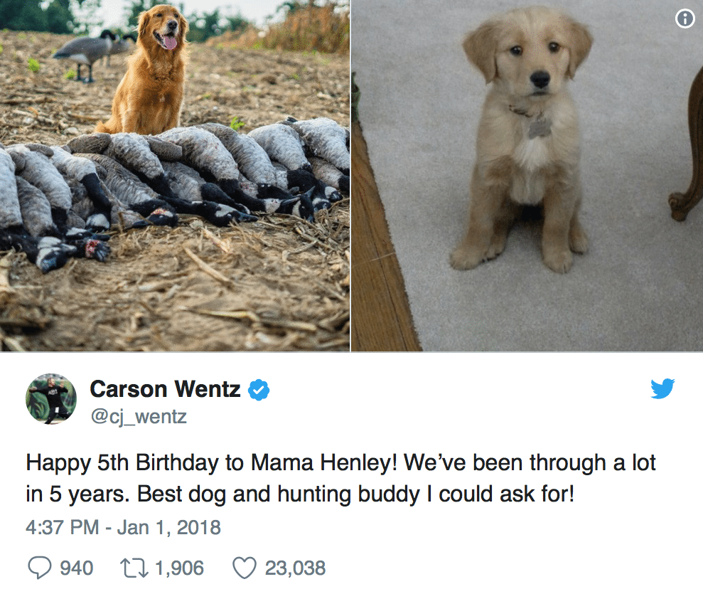 Carson Wentz