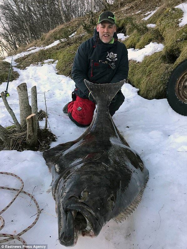 caught from shore