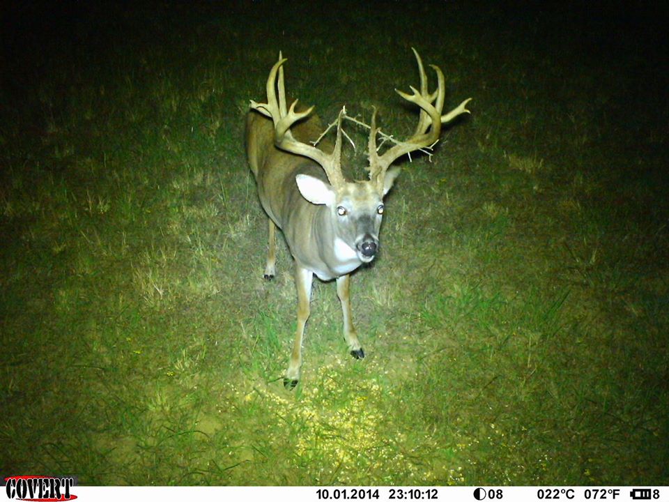 Trail Cam Tuesday