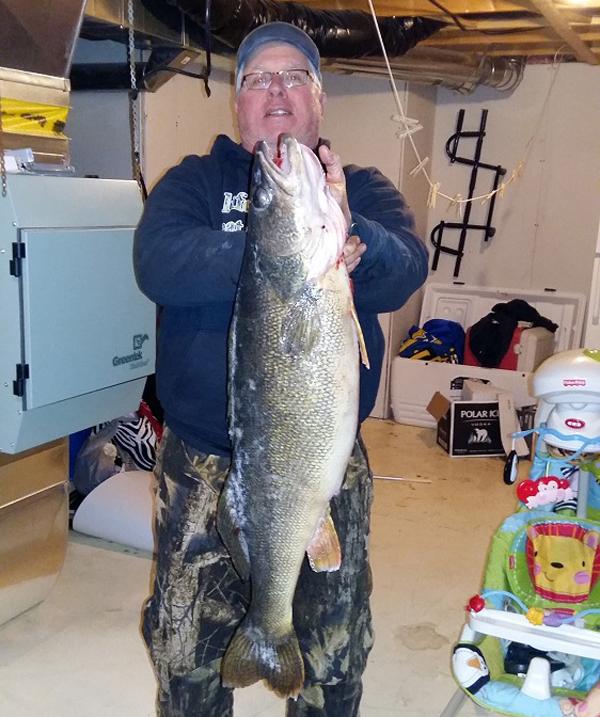 Bay of Quinte walleye