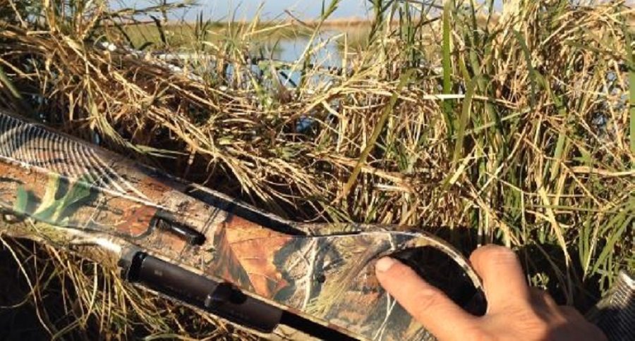Benelli