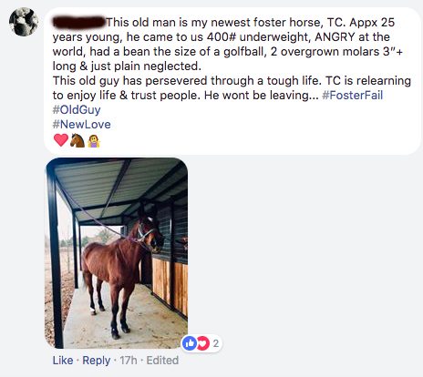 Facebook comment