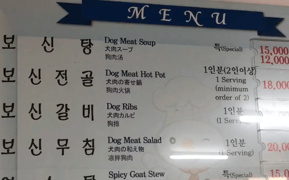 dog meat
