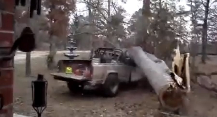 worst tree cutting fails
