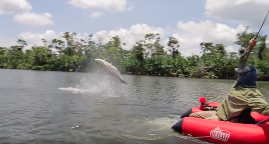 flyfishing tarpon