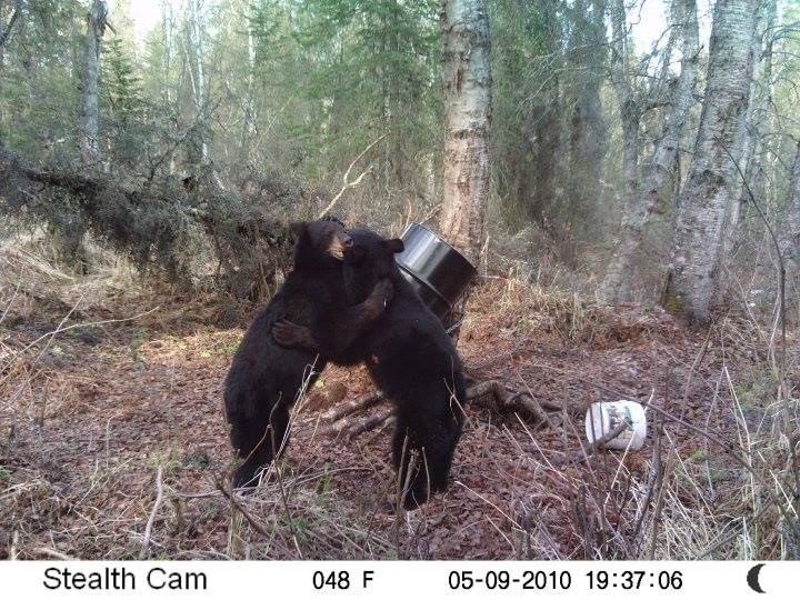 Trail Cam Tuesday