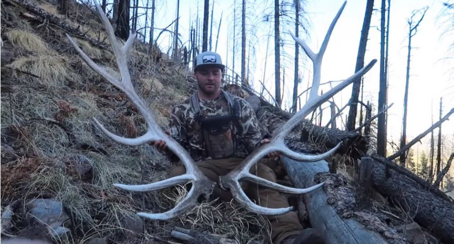 elk sheds