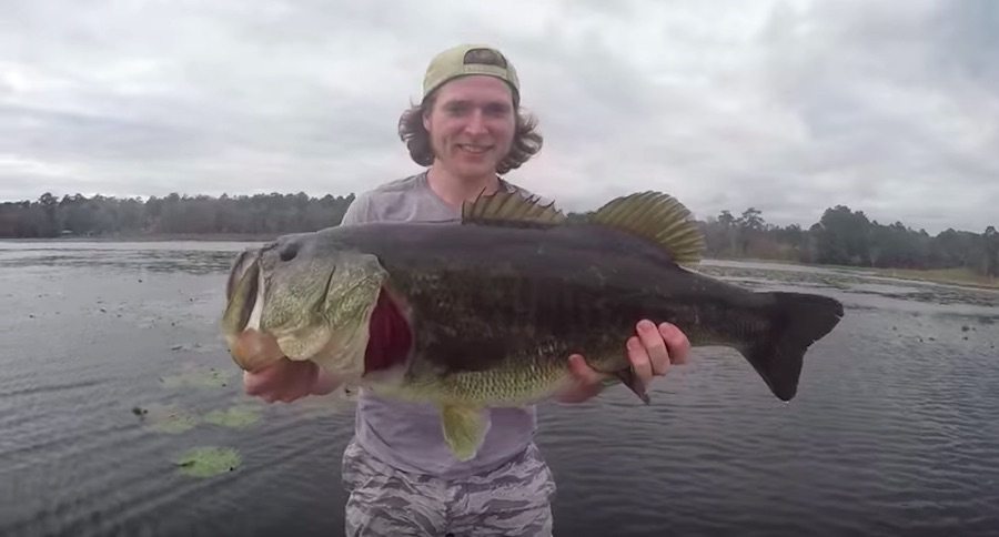 big bass