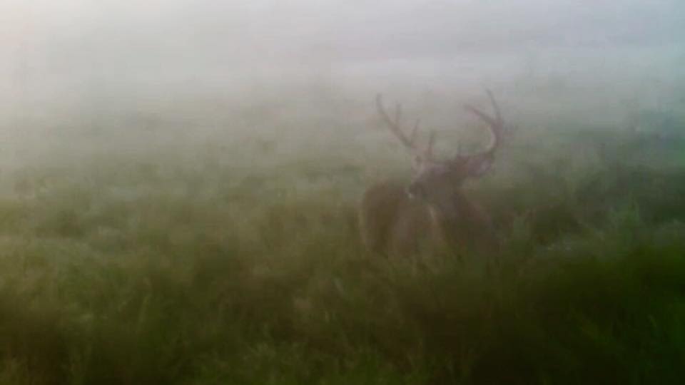 Trail Cam Tuesday