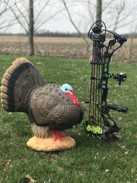 Rinehart Turkey Target