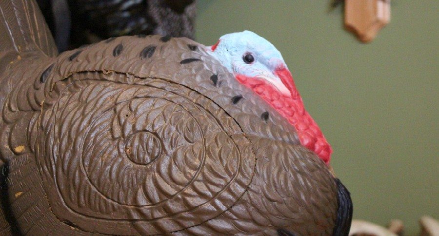Rinehart Turkey Target