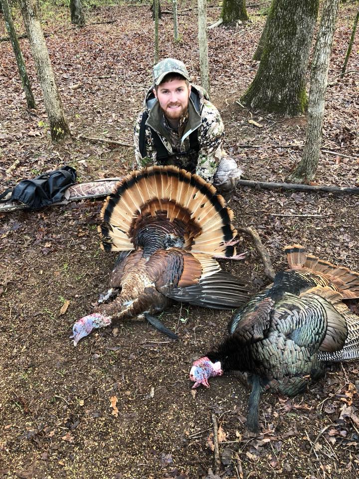 cinnamon color phase turkey