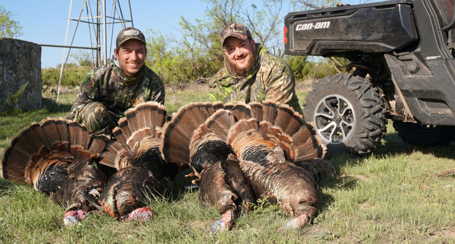 Upland Game Birds