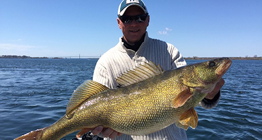 record walleye