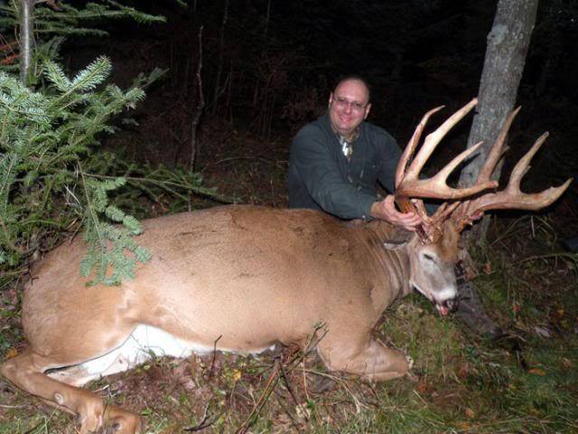 Big Buck Photos