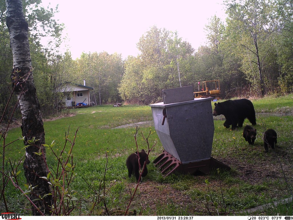 Trail Cam Tuesday