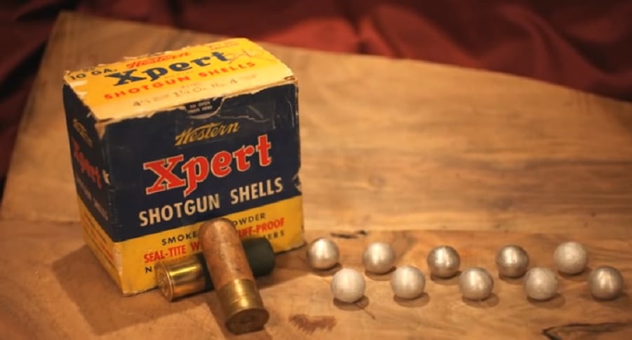 10 gauge