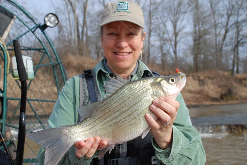 freshwater fish to eat