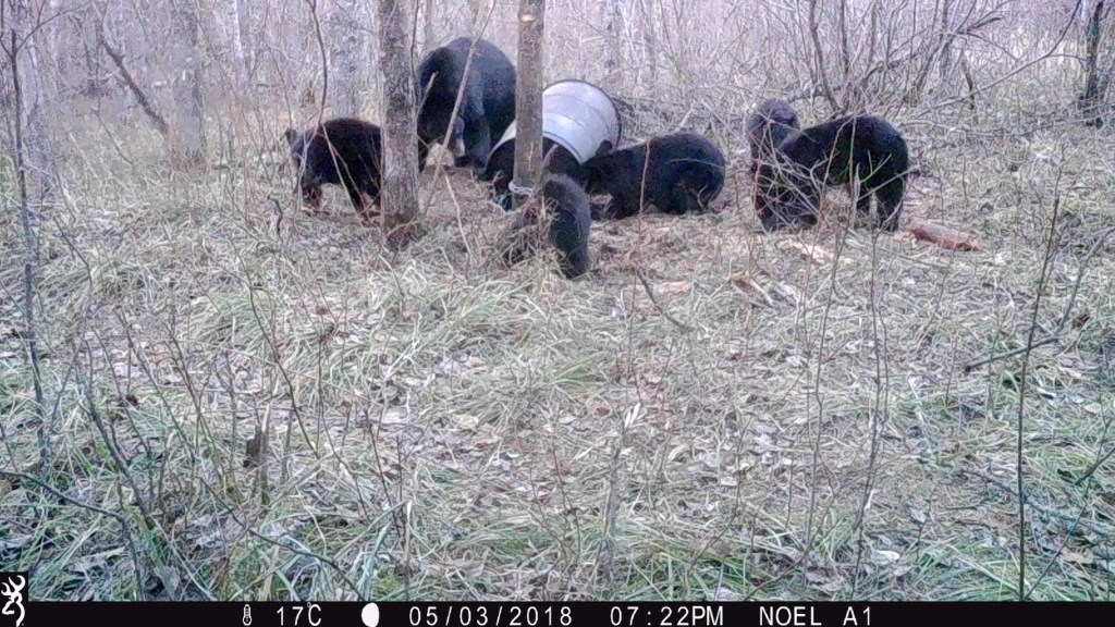 Trail Cam Tuesday