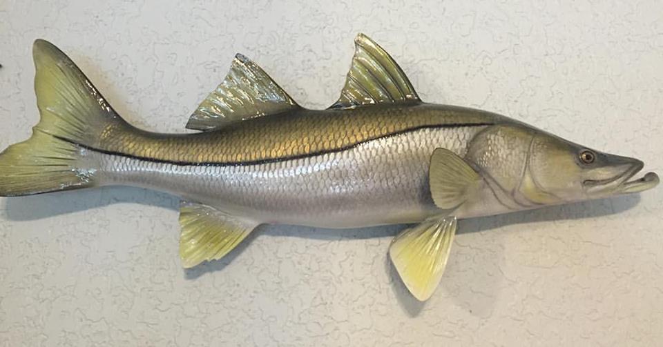 Saltwater Fishing Records